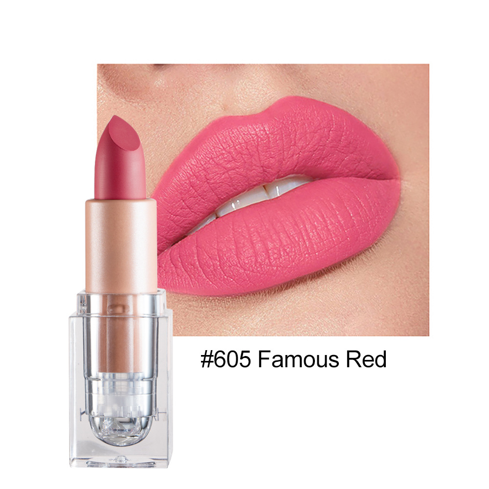 12 Colors Natural Matte Lipstick Long Lasting