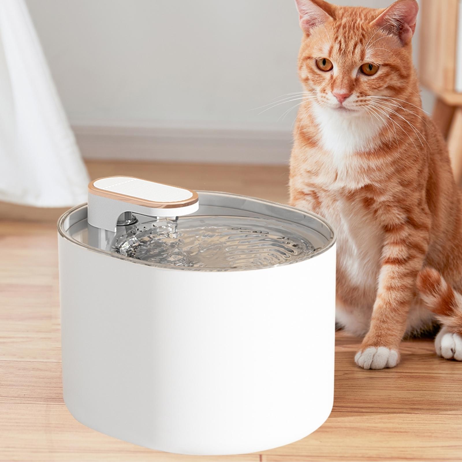 Pompe de fontaine à eau pour chat, moteur compatible avec fontaine à eau  pour animaux de compagnie, distributeur d'eau pour chat : :  Animalerie