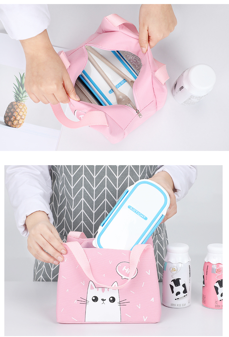 Insulated Lunch Bag Insulation Bento Pack Aluminum Foil Rice - Temu