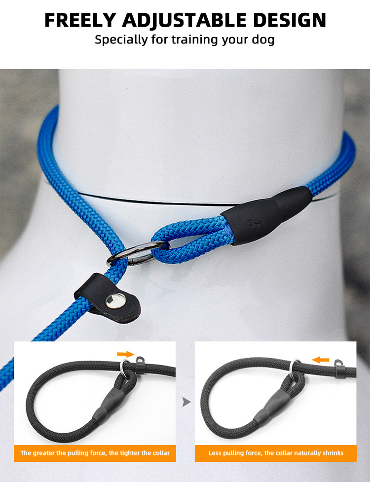 P Rope Collar free Traction Rope Outdoor Dog Walking Temu