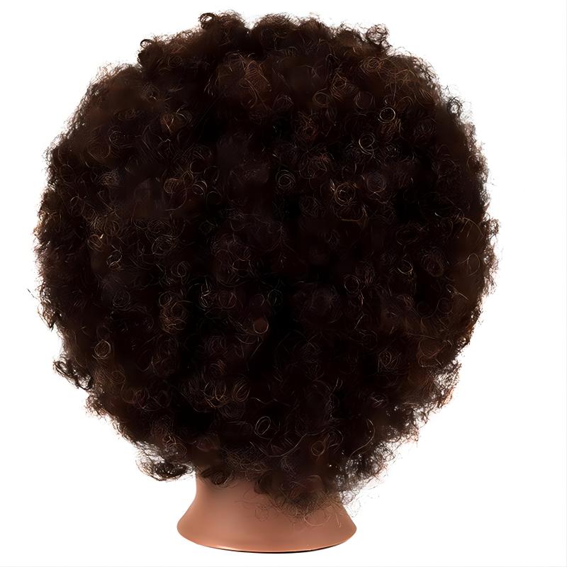 African American Mannequin Head With 100% Human Hair Kinky Curly Manikin  Head Training Head Cosmetology Doll Head For Hairdresser Practice Styling  Braiding With Clamp Stand (14 Inch)