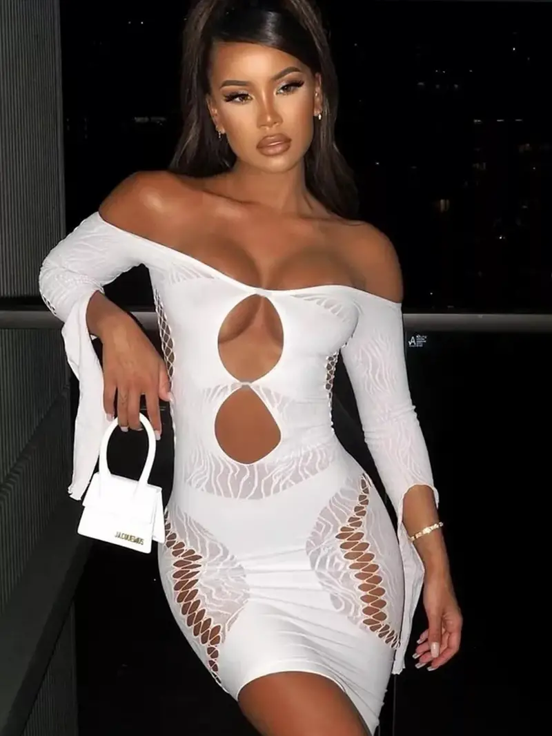 Women's Sexy Sultry Long Sleeve Fishnet Dress Hollow - Temu