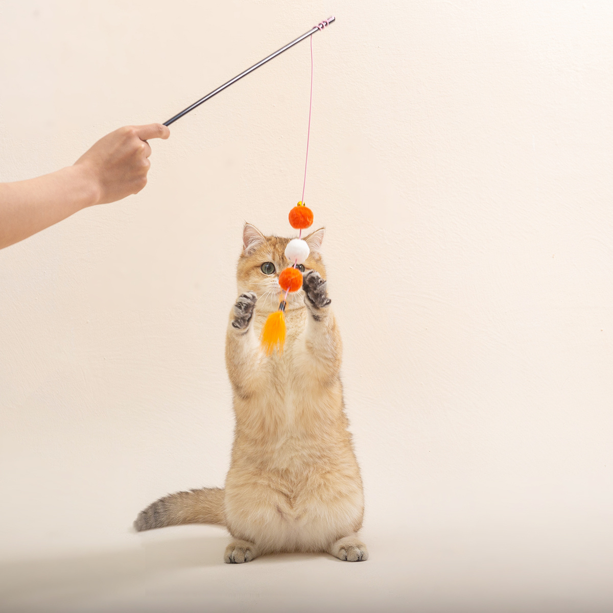 cat tassel toy