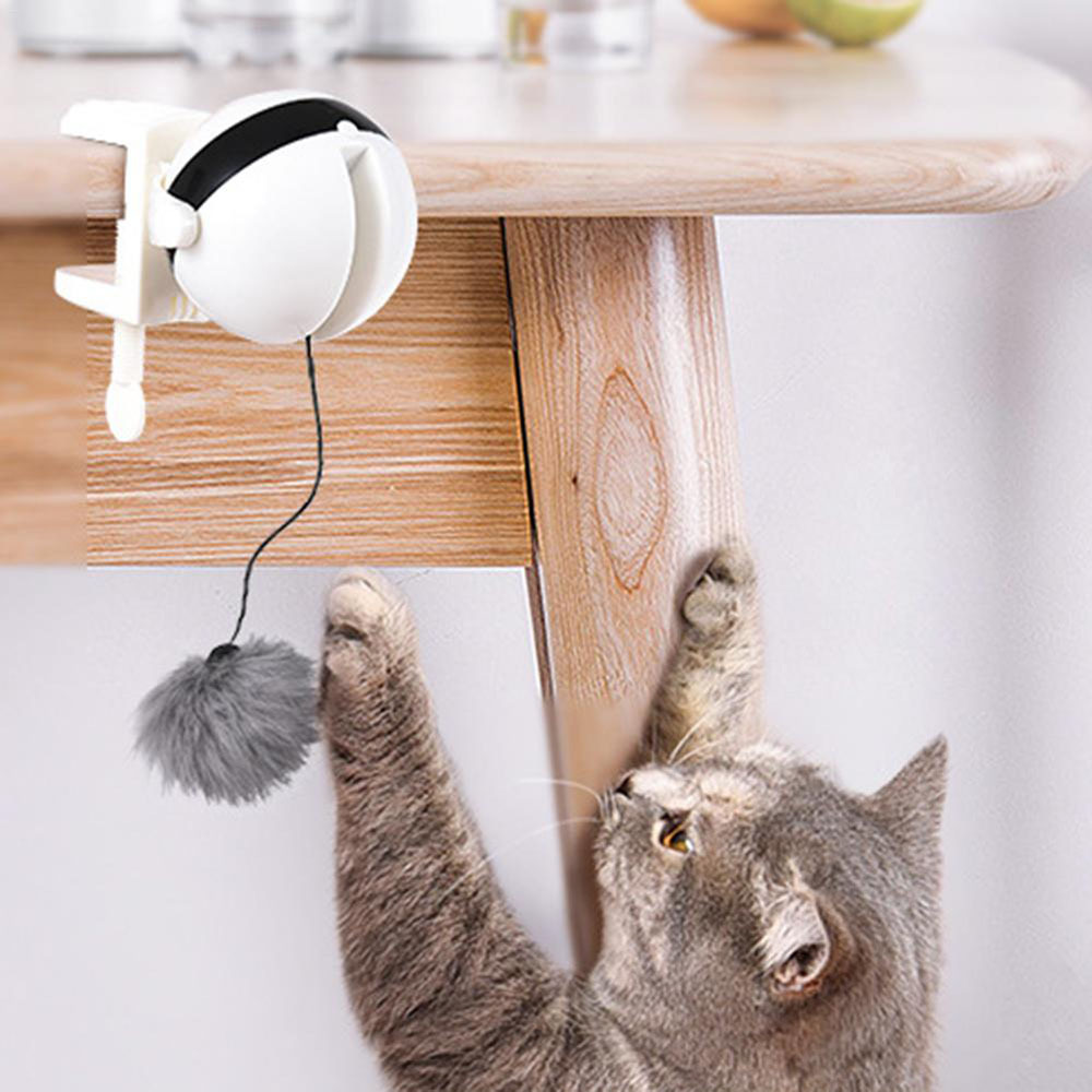 cat electric ball