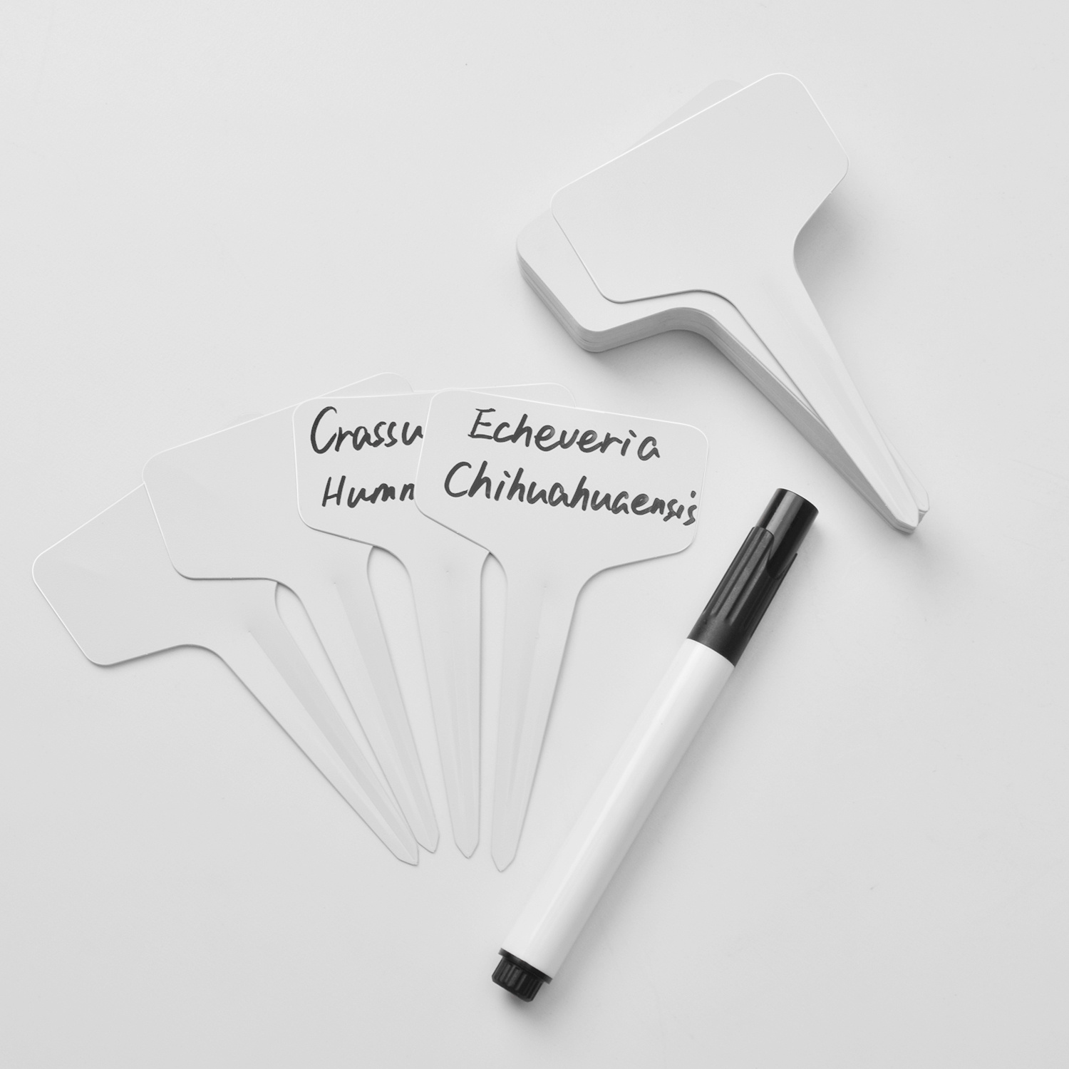 Plant Labels With Black Marker Pen Perfect For Garden Temu