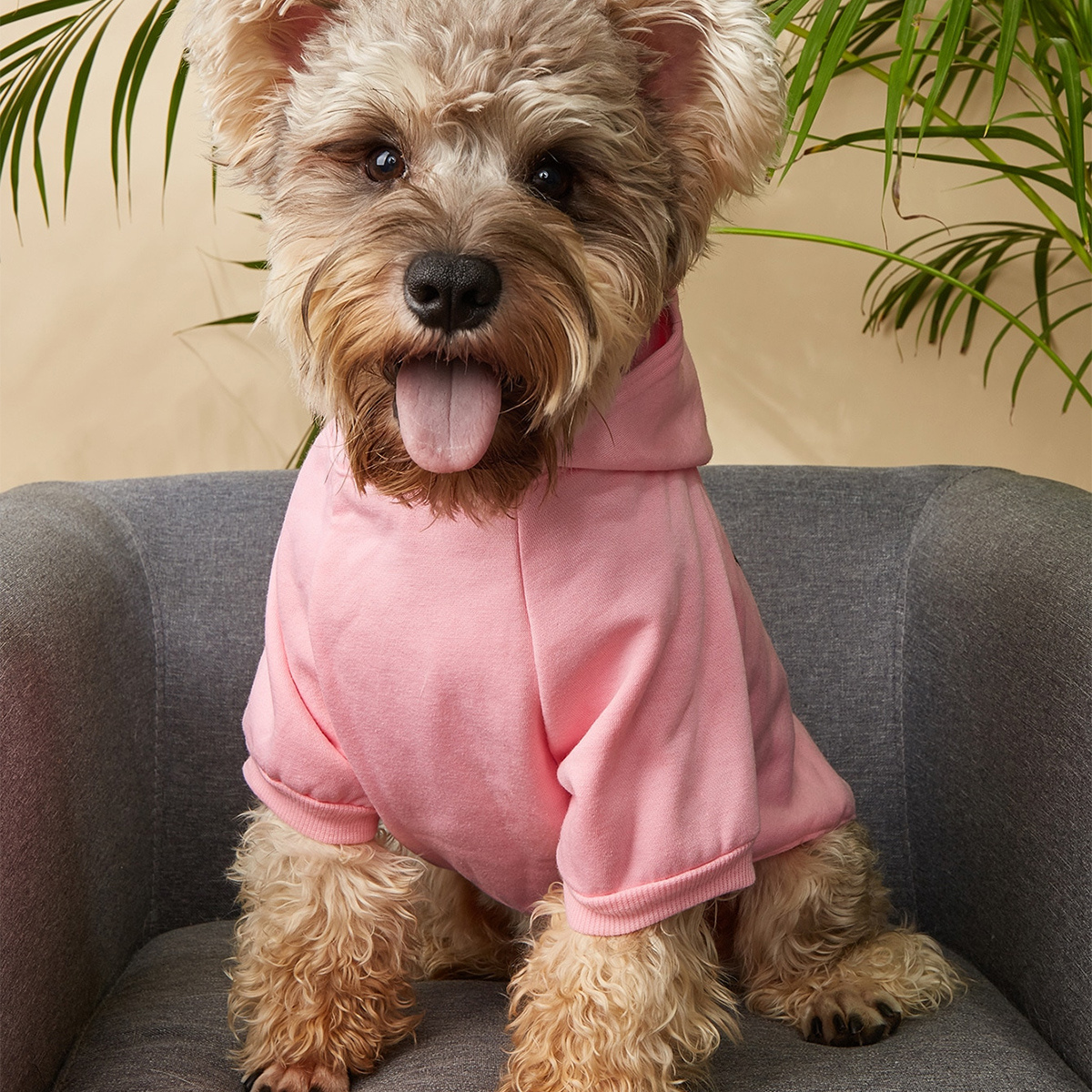 Sudadera rosa hombre discount cuidado con el perro