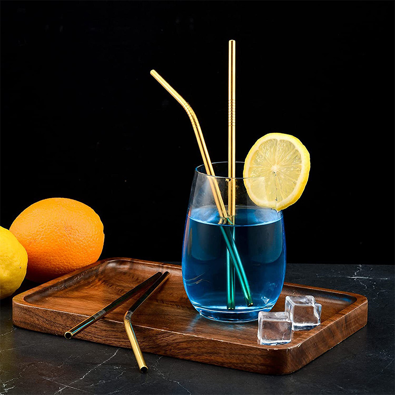 Eco Stainless Steel Straw Set 8 Straws 2 Brushes & Bag