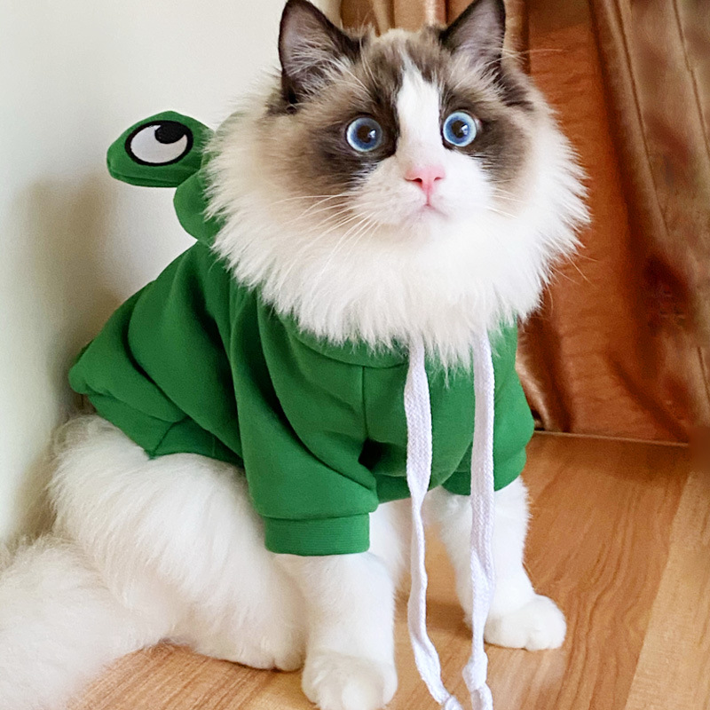 Fluffy frog online hoodie