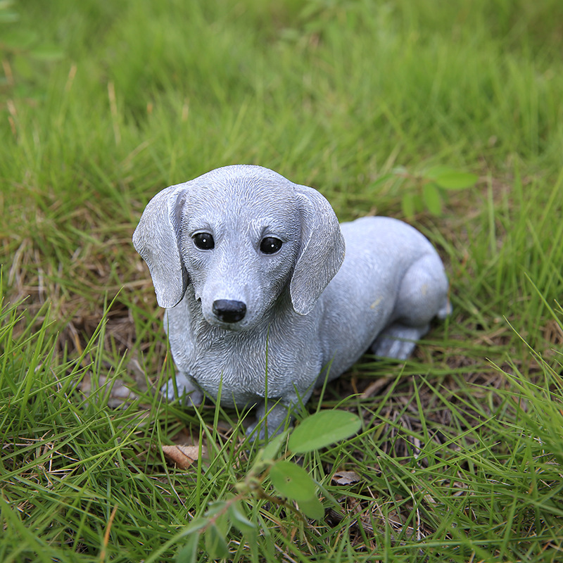 grey dachshund