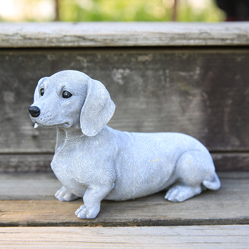 grey dachshund