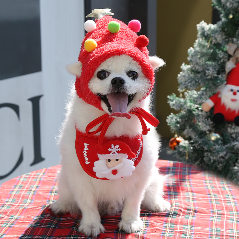 Accesorios para mascota