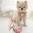 cute comfortable pet harness leash set perfect for dogs cats
