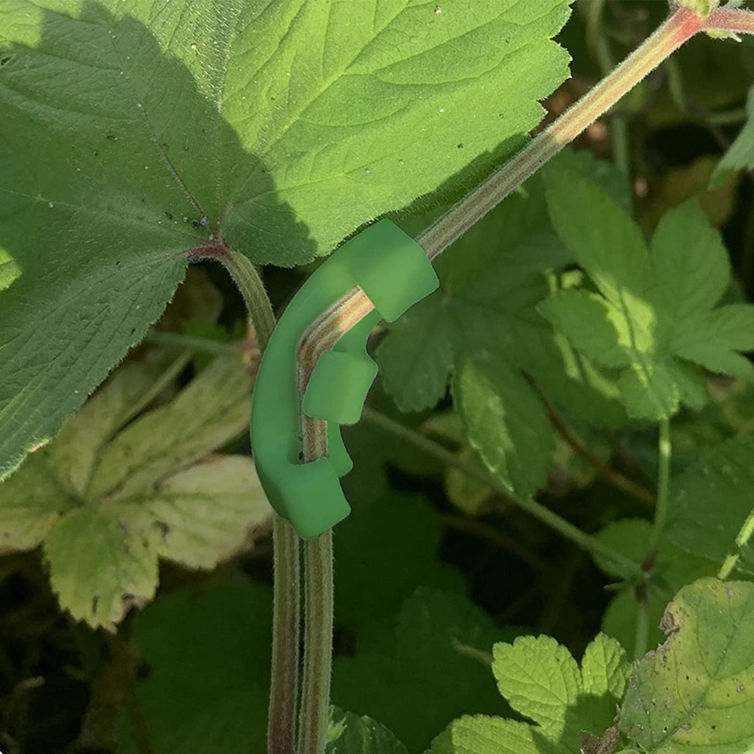 36pcs Plant Train Bending Clips, 90° Plant Trainer, Gardening & Lawn