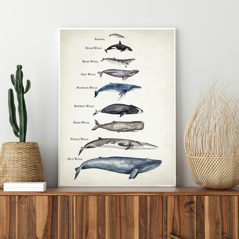 Educational Whale Canvas Print Kids Bedroom Decor Holiday - Temu Canada