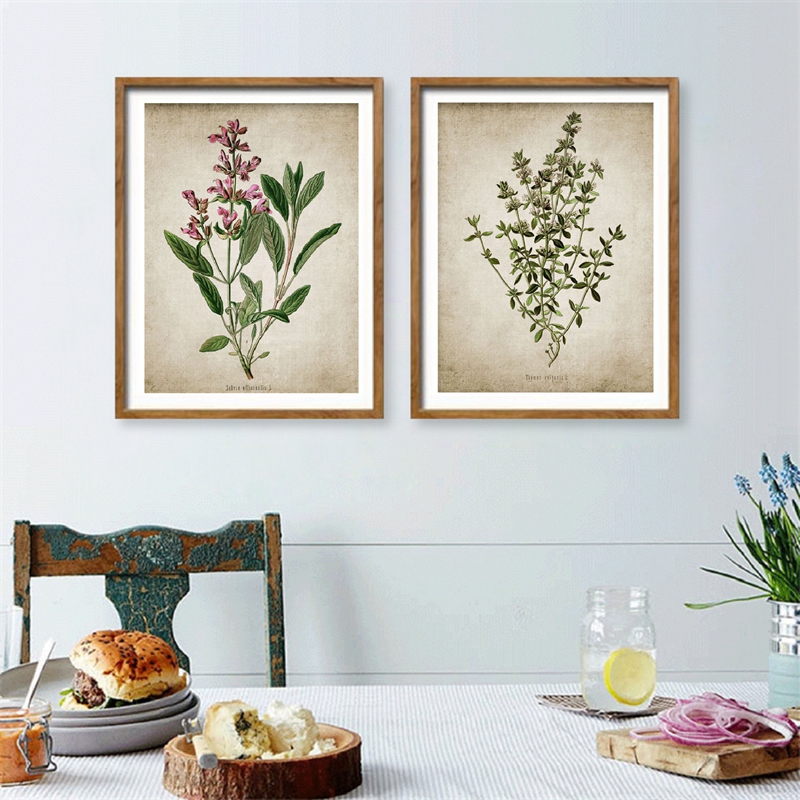 Vintage Botanical Poster Herb Wall Art Prints Herb Poster Temu