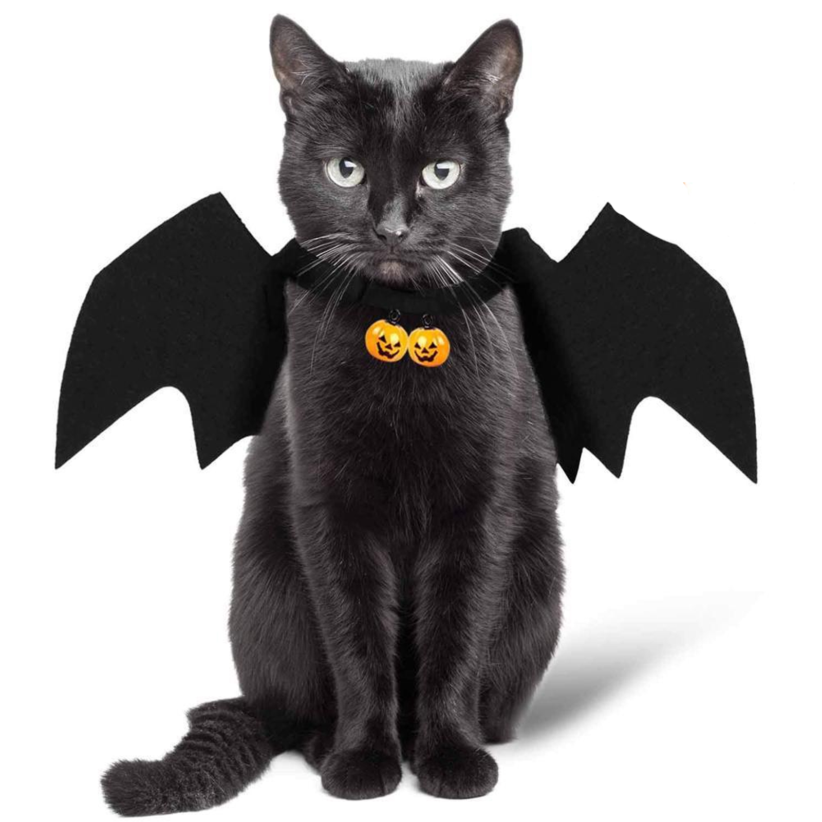 Cat shop bat costume