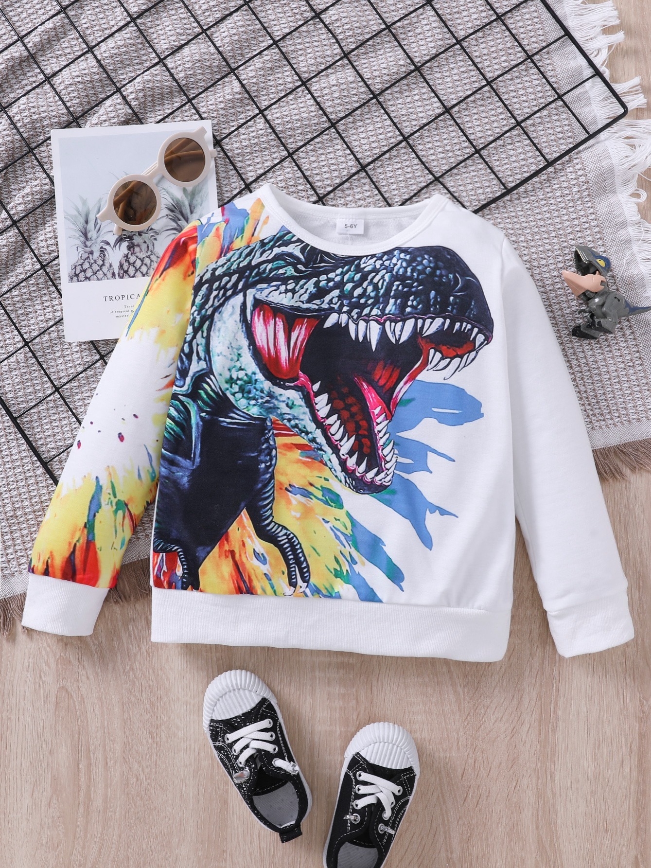 Dinosaur 2024 print sweatshirt