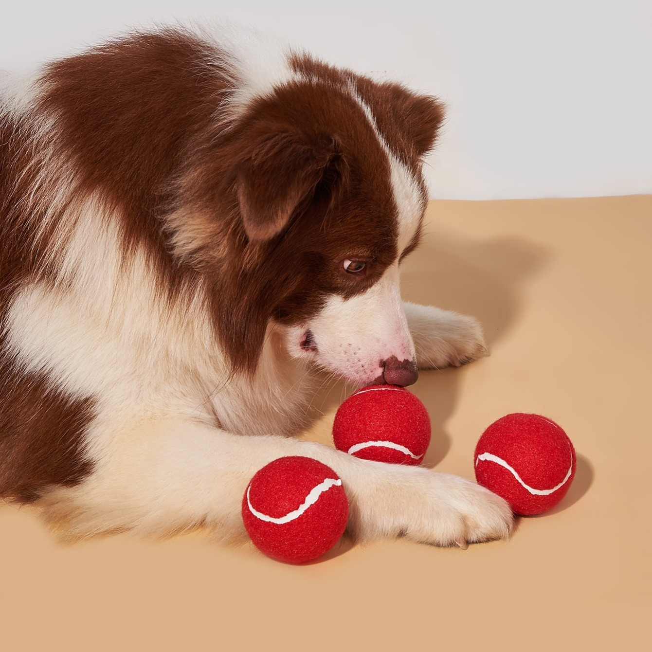 Interactive Dog Toy With Giggle Sounds - Entertaining And Stimulating  Playtime For Your Pet - Temu