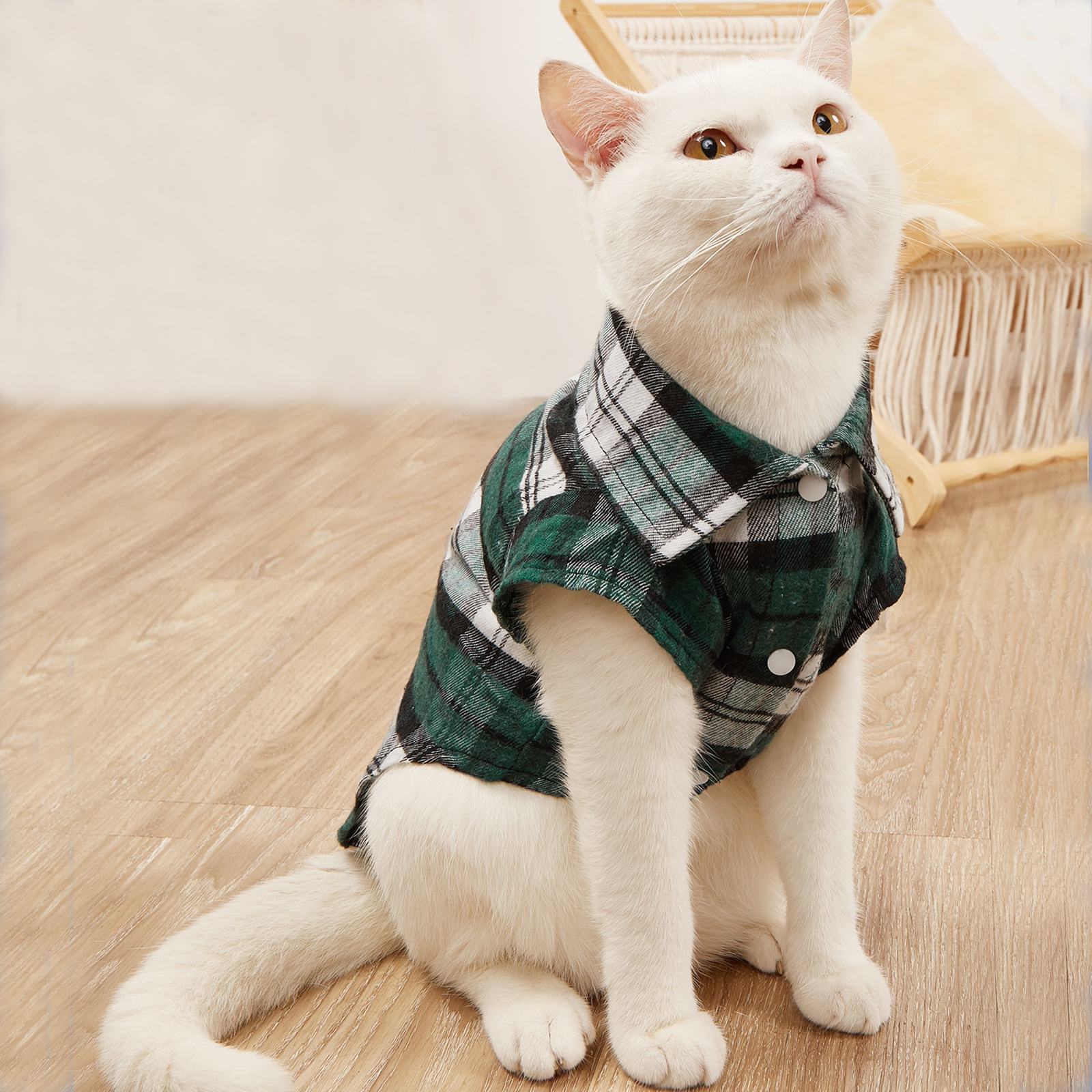 Cute Plaid Cat Shirts: Adorable Pet T-Shirts for Small & Medium Dogs & Cats!