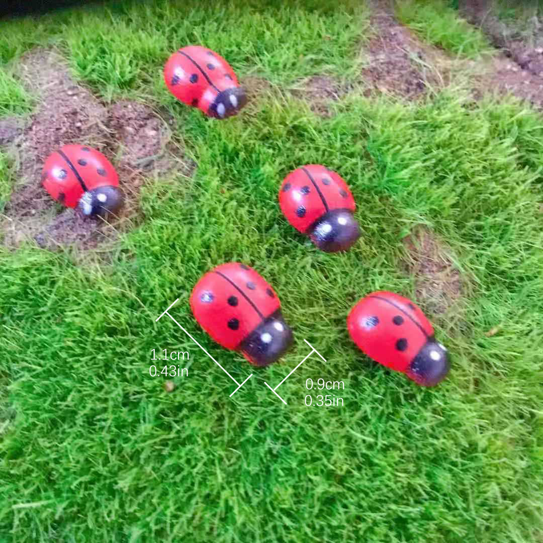 

10pcs Garden Lawn Miniature Landscape Little Ladybug