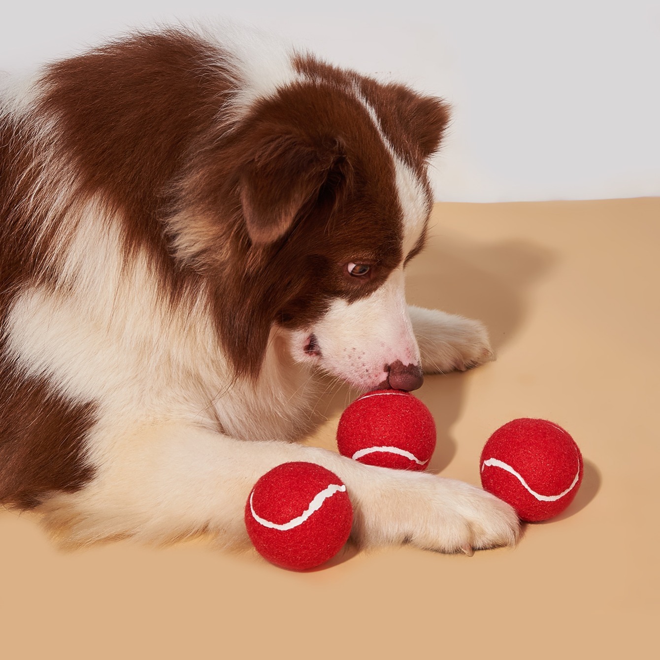 Juguetes Para Perros Resistentes Y Duraderos Con Sonido! - Temu
