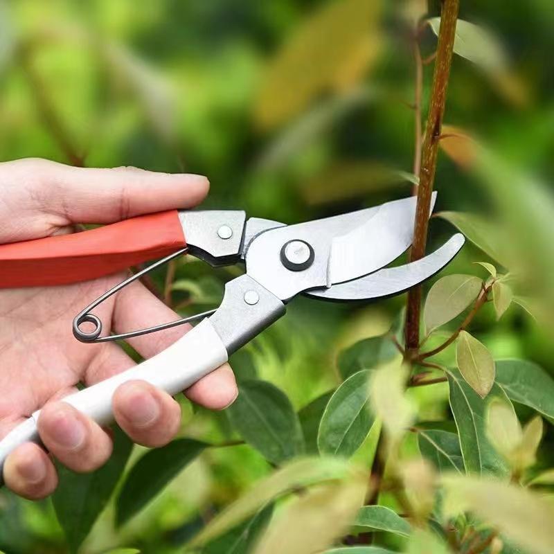 Garden Shears For Cutting Branches And Fruit Trees Garden Pruning Tools Garden Scissors Patio