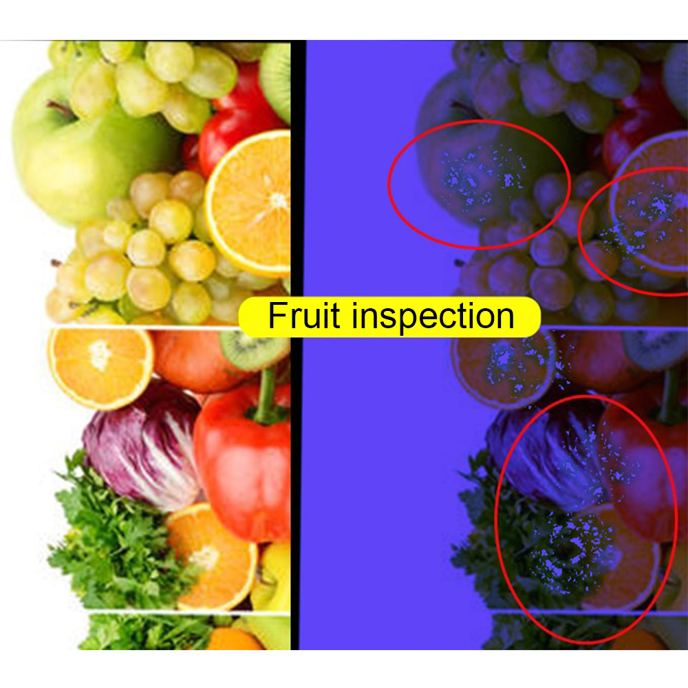 365nm Uv Flashlight Handheld Ultraviolet Mini Torch With Blacklight For ...