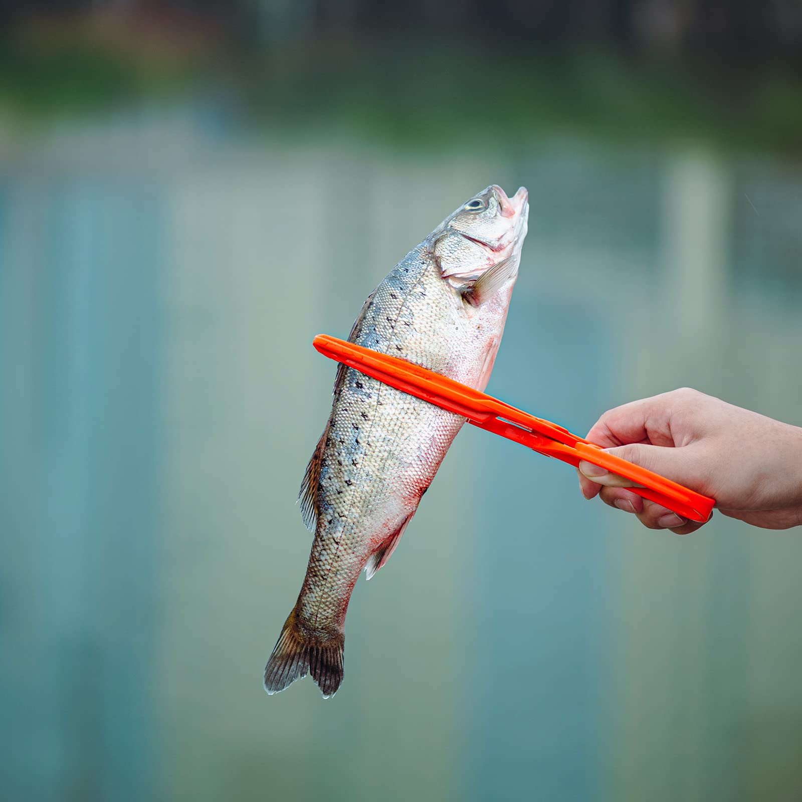 Fishing Pliers: Serrated Clamp Grabber Easy Fish - Temu