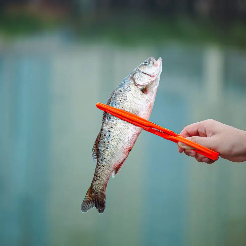 Fishing Pliers: Serrated Clamp Grabber Easy Fish - Temu