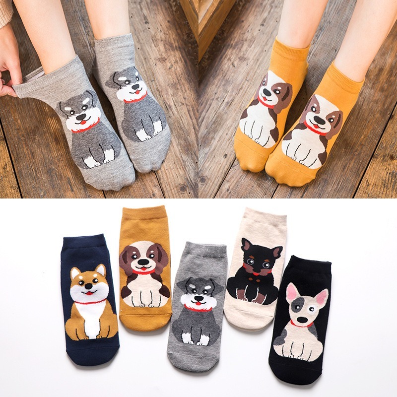 [5 Pairs] Soft Dogge Socks, Crew Length Sock Pack, Women's Stockings ...