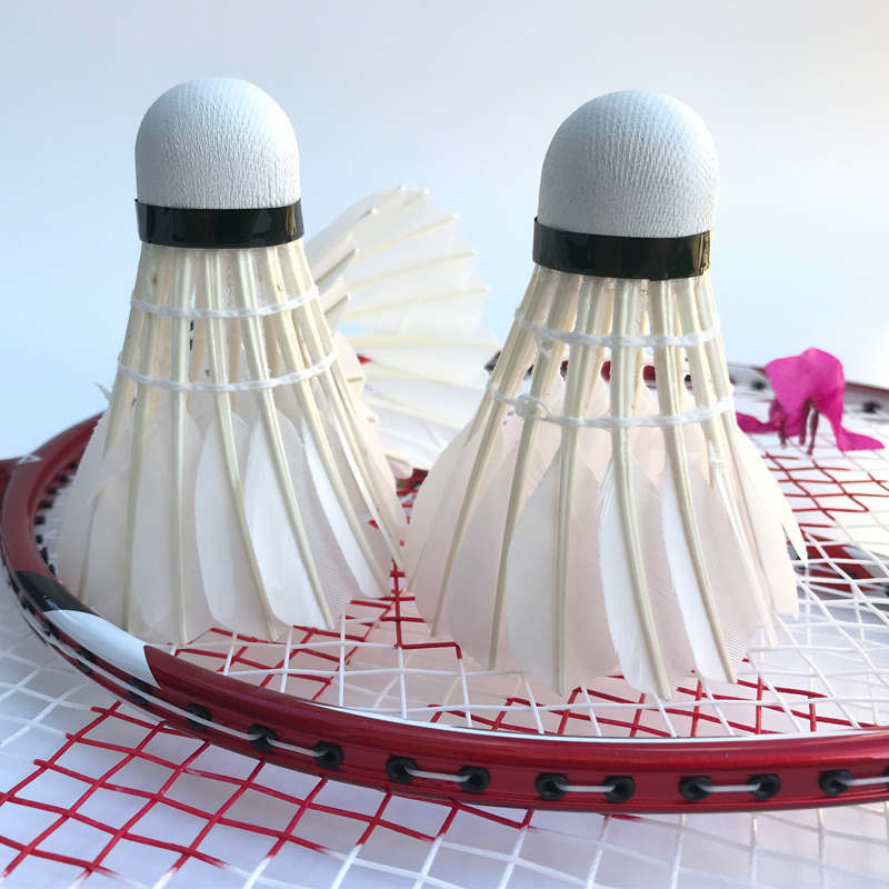 Badminton Shuttlecocks - Temu