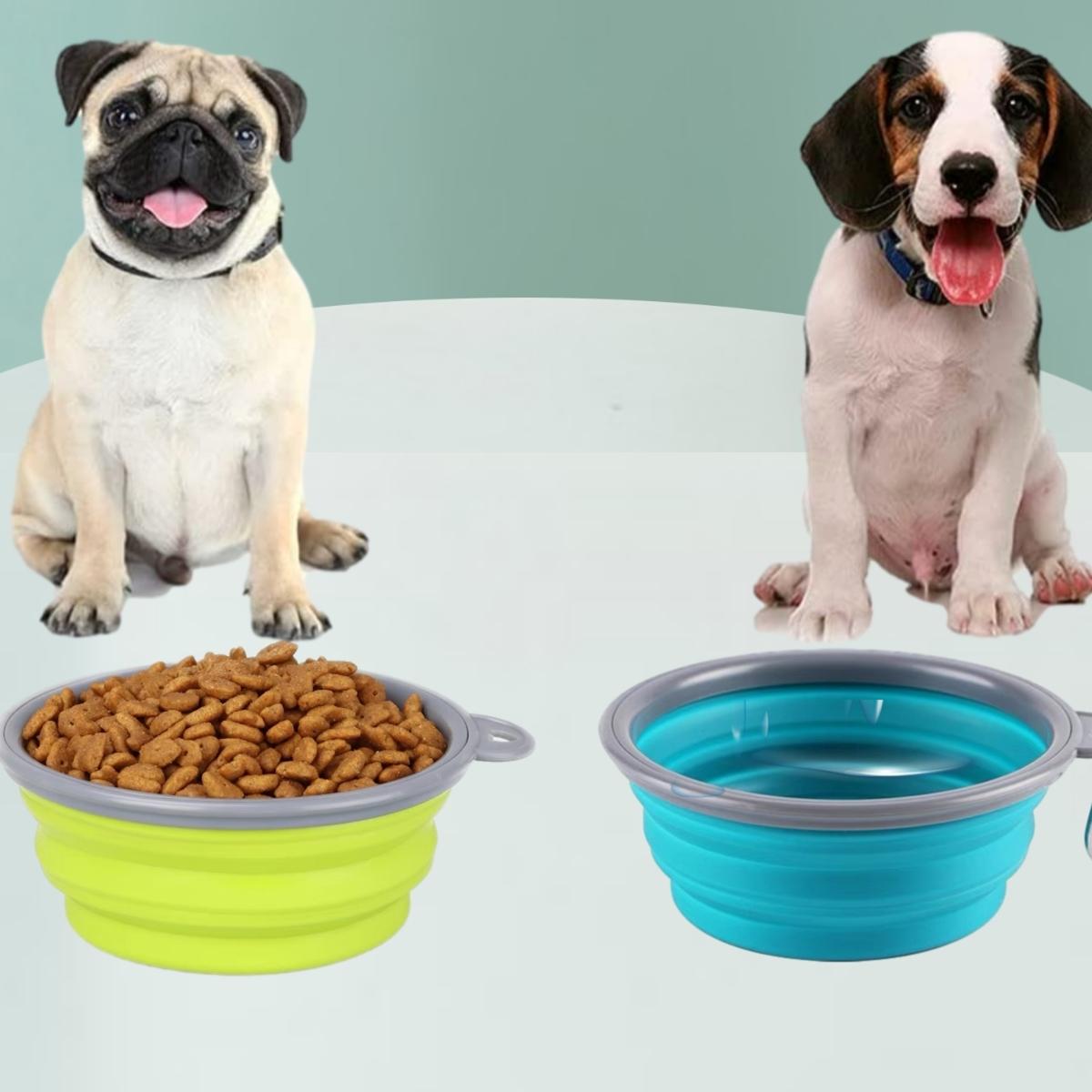 Portable & Collapsible Dog Bowls