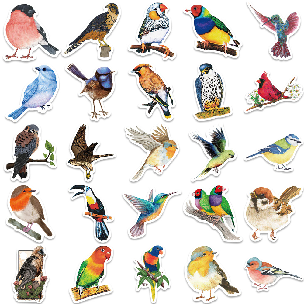 Bird Stickers Transparent Colorful Bird Stickers Pet Vintage - Temu