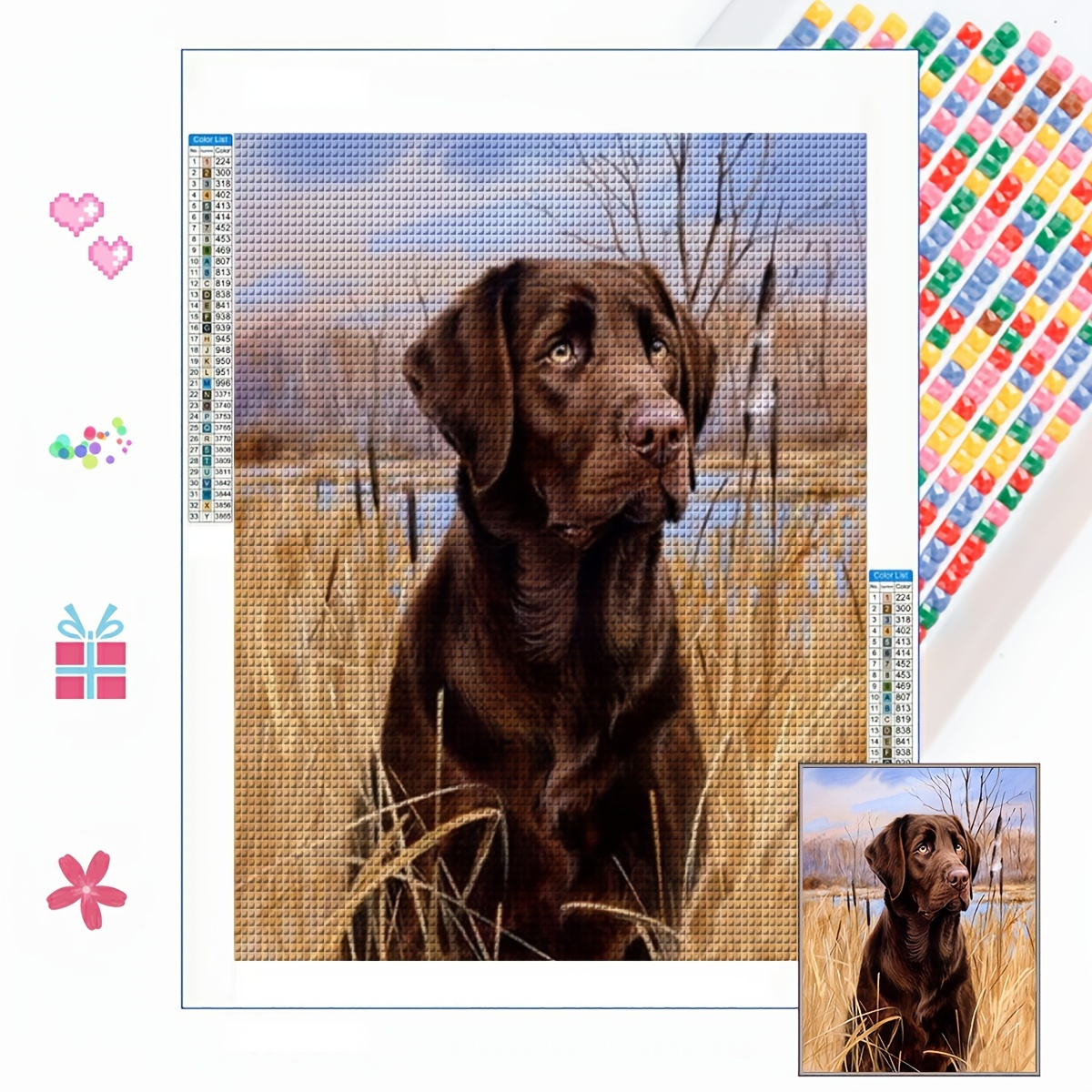 Vizsla Dog - 5D Diamond Painting 