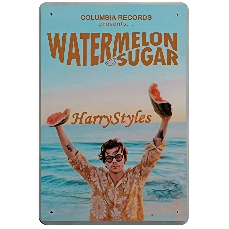 Harry Styles Music Poster Vintage, Poster Deco Home, Gift For Fans, Retro  Poster