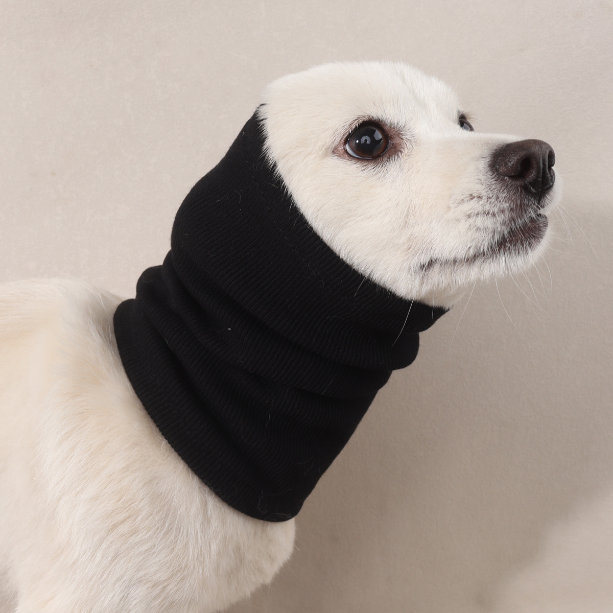 Image of Pet Ear Protection Headgear