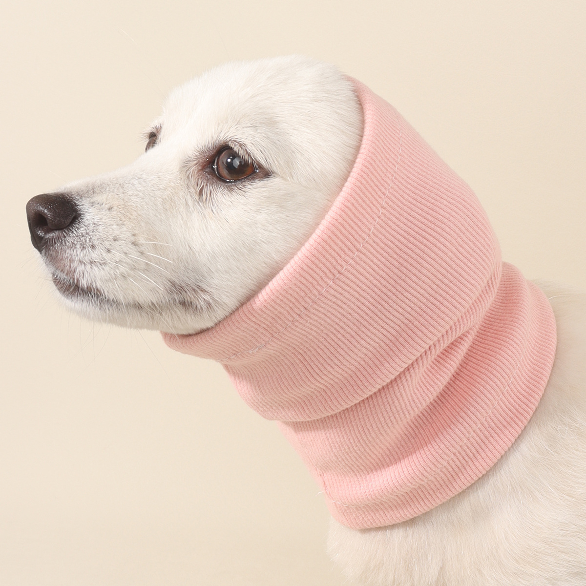 Must-Have Pet Accessories: Dog Snoods - Delightful Dapple