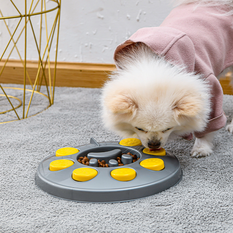 interactive dog food bowl