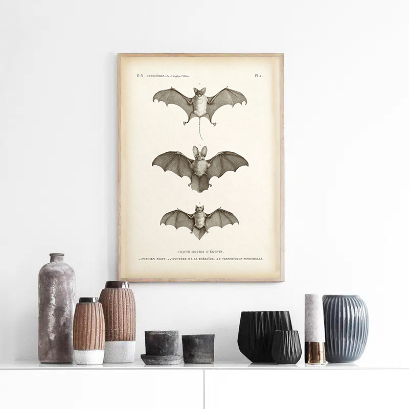 Image of 1pc Vintage Bat Print Halloween Wall Art Canvas Painting Antique Bat Animal Poster Wall Picture For Living Room Home Decoration