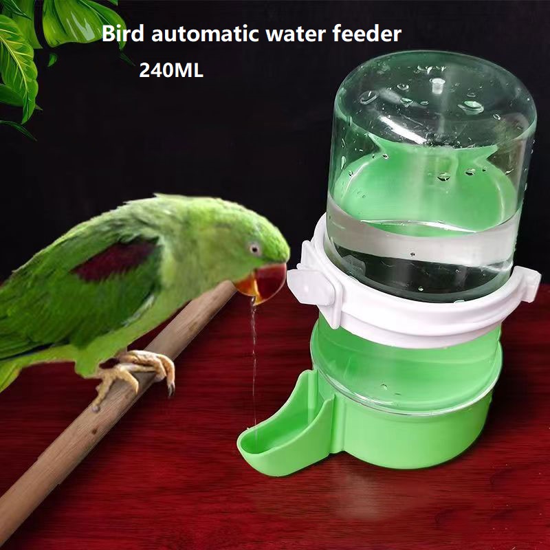 automatic parrot waterer