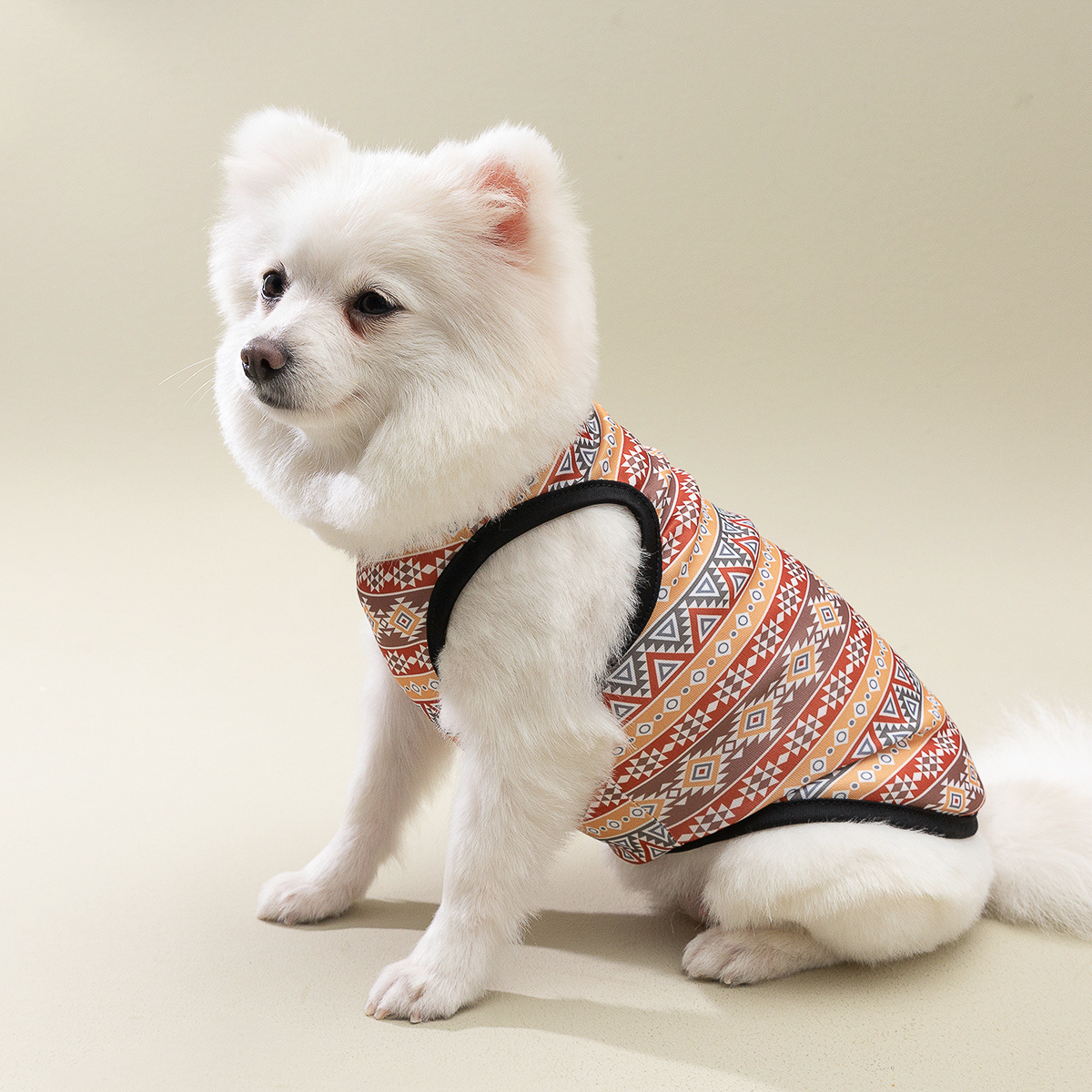 boho dog clothes