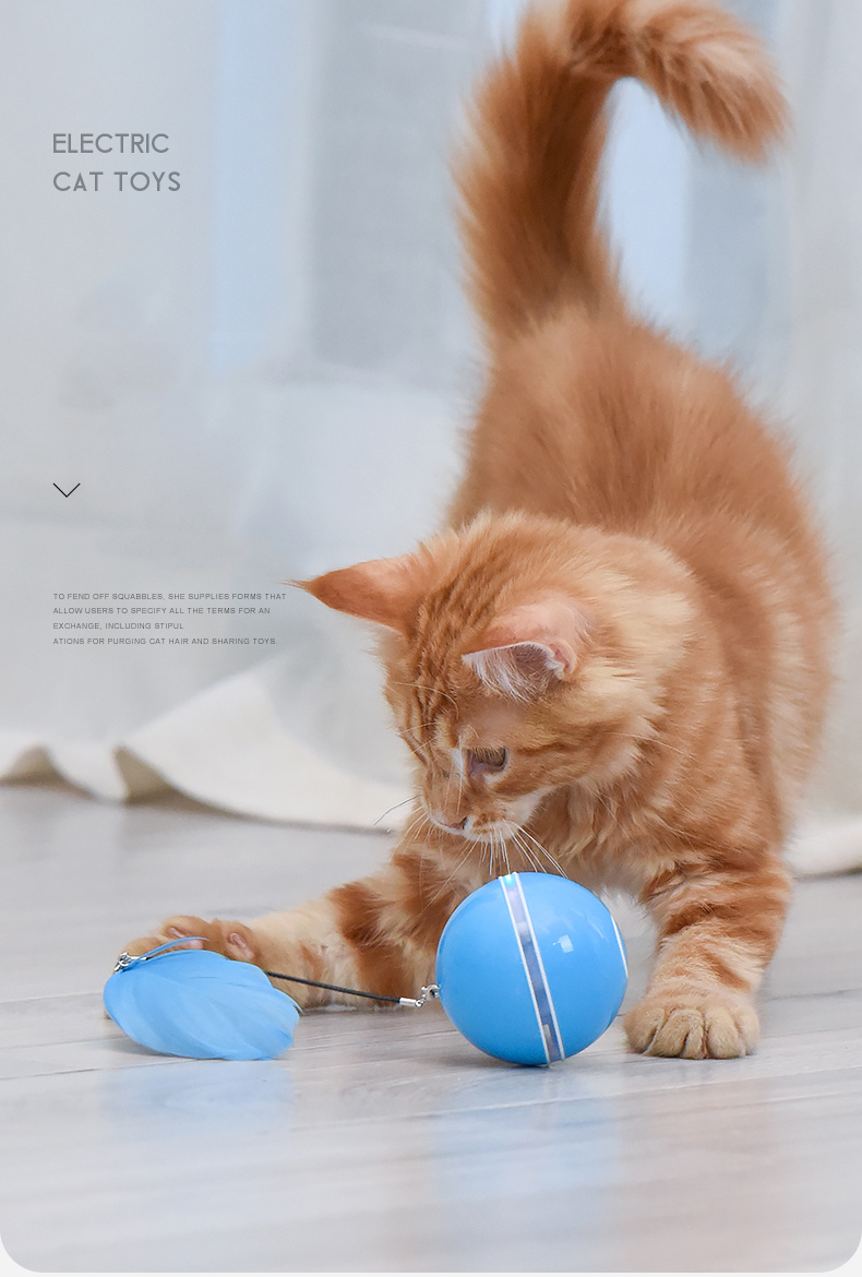 usb cat ball