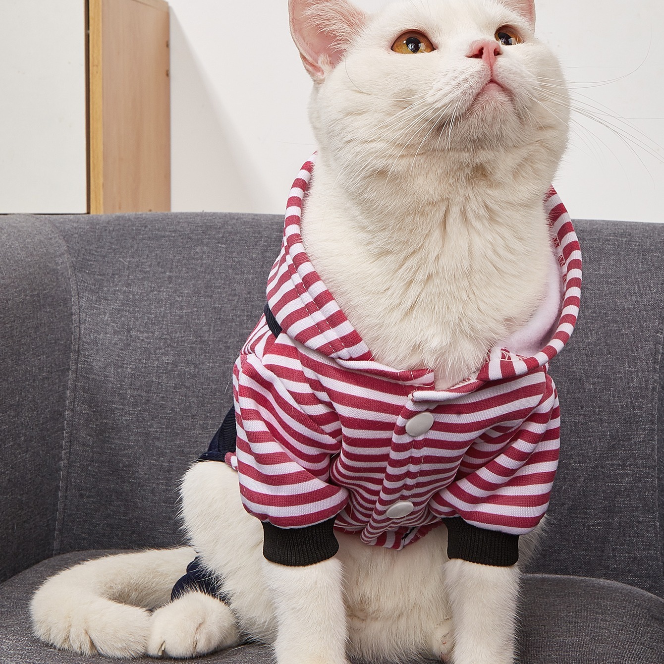 Pet Cat Clothes Autumn Winter Warm Cat Dog Soft Bunny Plush Jacket