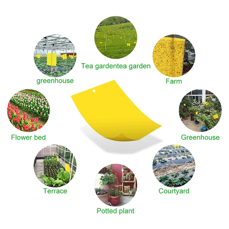 Yellow Double sided Greenhouse Sticky Traps Bugs Sticky - Temu