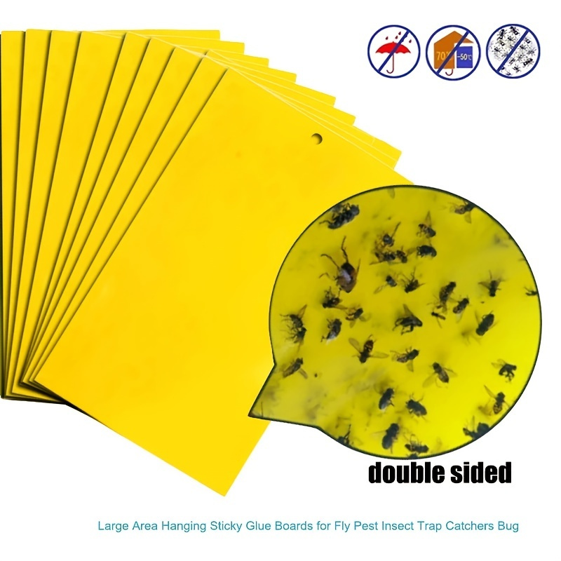 Fly trap glue insect trap roll 4 pcs., CATEGORIES \ House \ Others