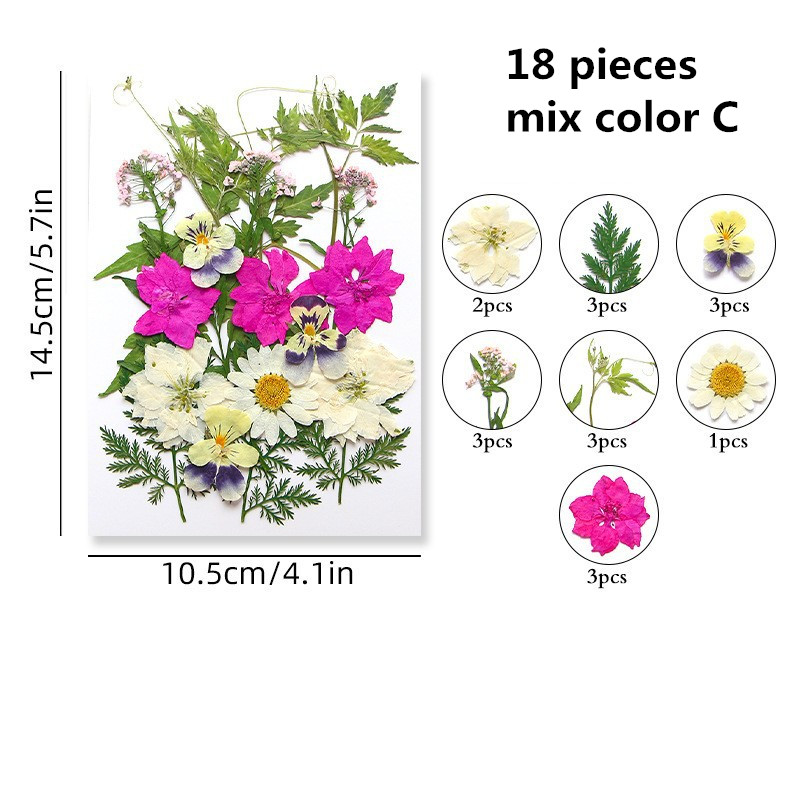  LMJIA 48 Pcs Dried Flowers, Pressed Dried Flowers for Nails,  Pressed Flowers for Crafts, Dried Flowers for Resin Molds, Candle Making,  Makeup, Soap Making