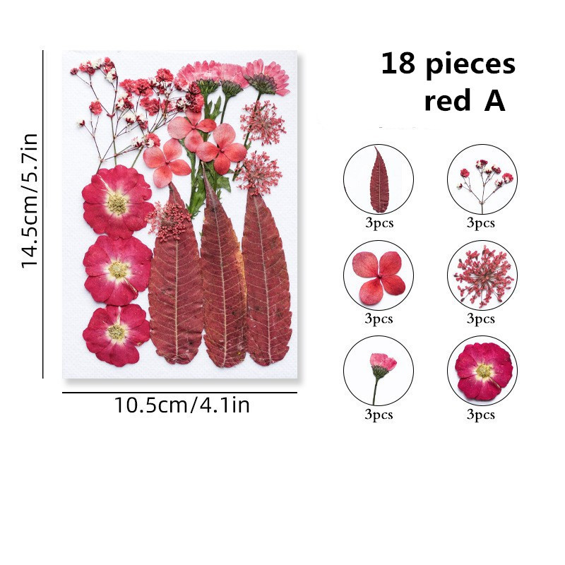  LMJIA 48 Pcs Dried Flowers, Pressed Dried Flowers for Nails,  Pressed Flowers for Crafts, Dried Flowers for Resin Molds, Candle Making,  Makeup, Soap Making