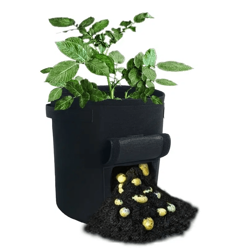  Suntee 4 Pack Potato Grow Bags 10 Gallon with Flap, Plant Grow  Bags Heavy Duty Nonwoven Fabric Planter Bags Garden Vegetable Planting Pots Grow  Bags for Growing Potatoes, Tomato and