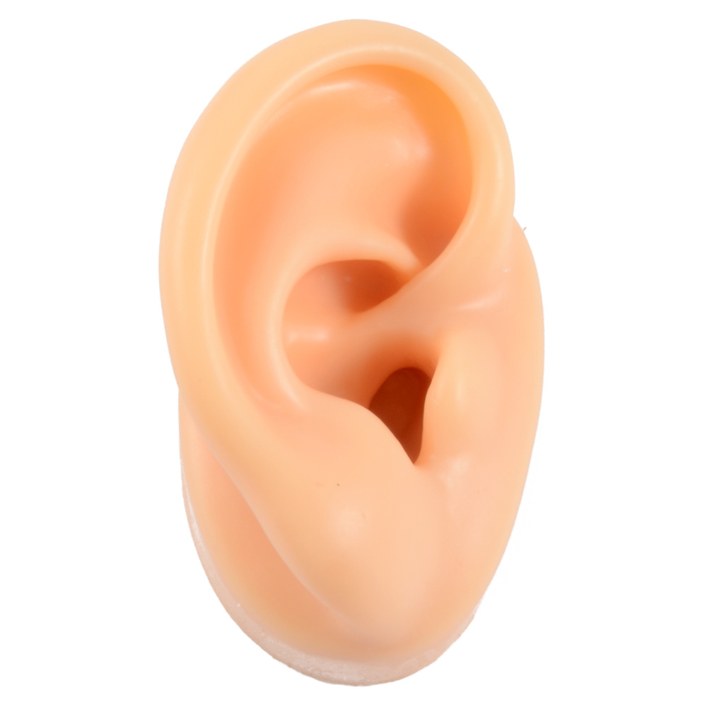 Silicone Ear Model body Jewelry Simulation Display Props Ear - Temu