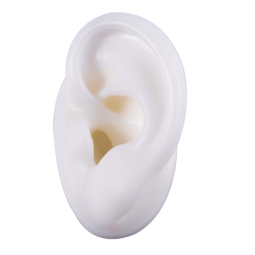 Baluue Ear Model Silicone Tunnels for Ears Silicone Earrings Ear Piercing  Earrings Simulation Ear Model Earrings Backs for Studs Earwax Removal  Silica Gel Silicone Ear Mold Fake Ear Model